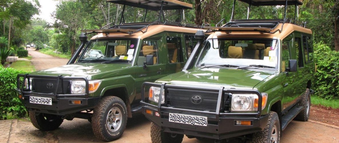 safari car rental upington